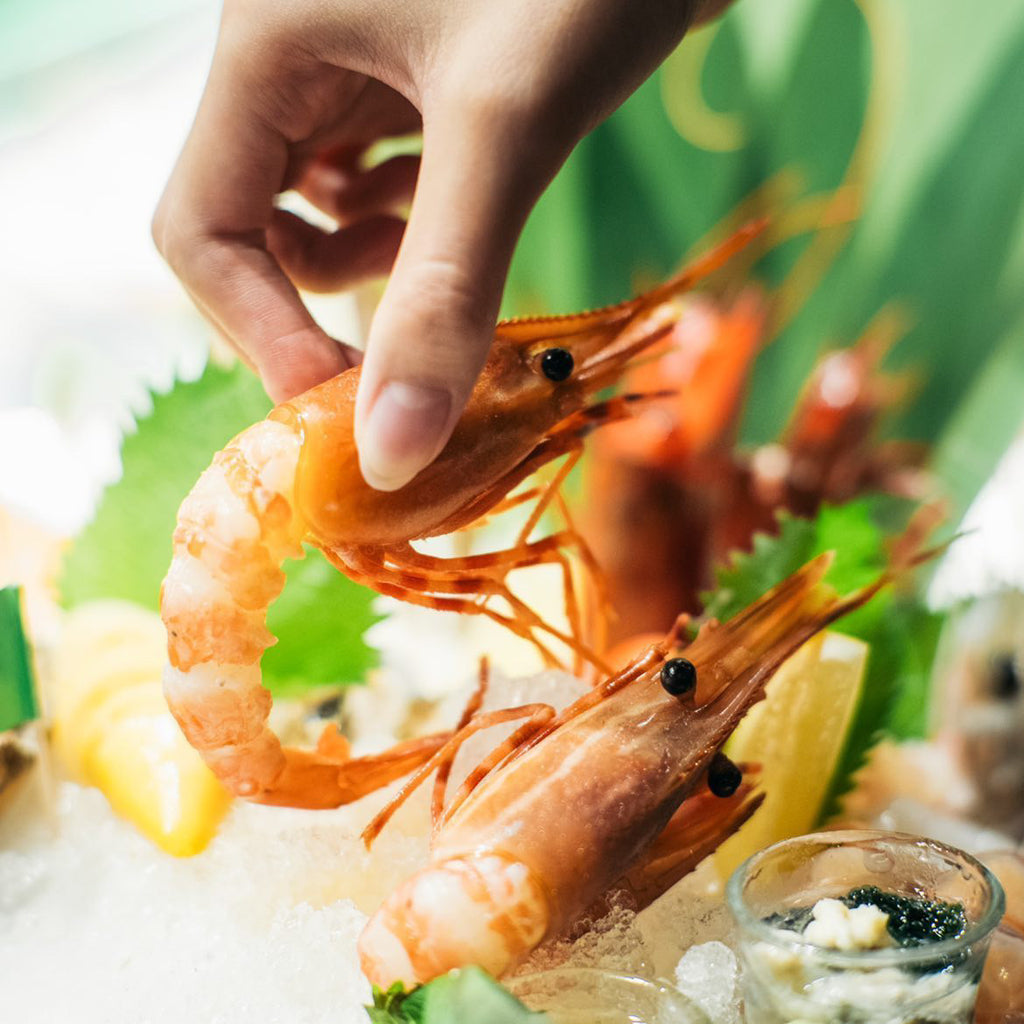 加拿大珍寶牡丹蝦刺身 (Canadian Spot Prawn Sashimi)