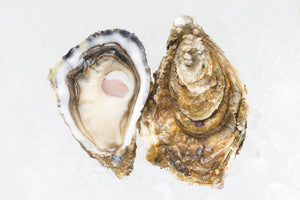 Cooley Gold Oysters ® 生蠔