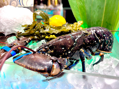 愛爾蘭藍龍蝦 Irish Blue Lobsters