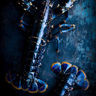 【預訂/Pre-order】愛爾蘭藍龍蝦 Irish Blue Lobsters