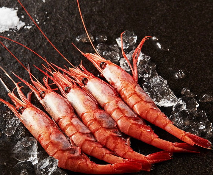 日本大甜蝦刺身6隻 (Japanese Large Ebi Shrimp Sashimi x 6pcs)