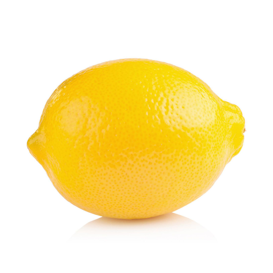 Fresh Lemon / 新鮮檸檬