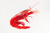 西班牙紅蝦刺身 (Sashimi Spanish Carabinera (Red King Prawn))